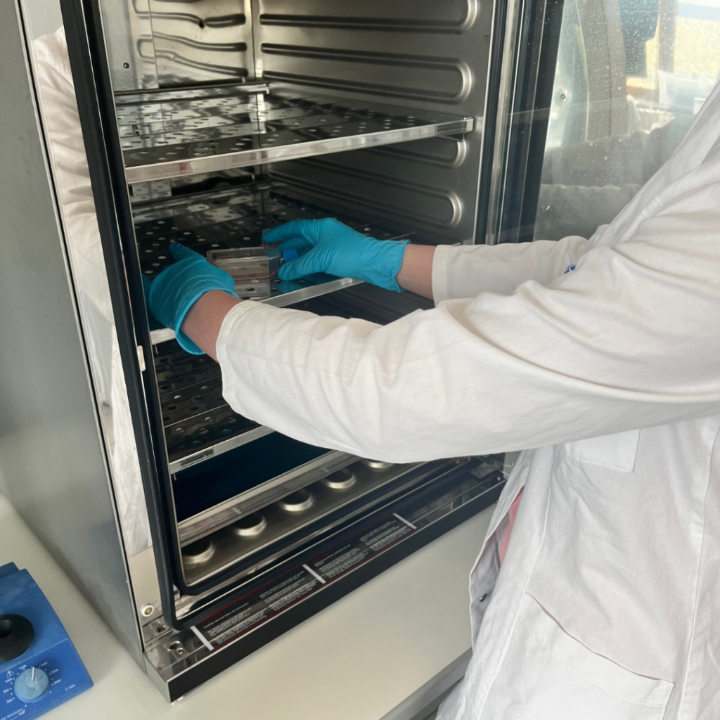 Person in einem Laborkittel legt eine Probe in einen geöffneten Inkubator.
